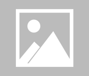 女篮亚洲杯-中国女篮vs新西兰女篮比分预测（2025.7.16）张子宇将统治内线